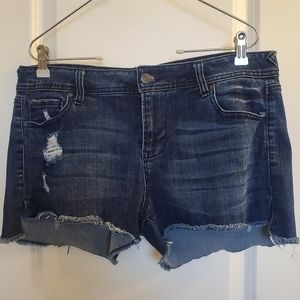 Celebrity Pink Short Jean Shorts Sz 11/30